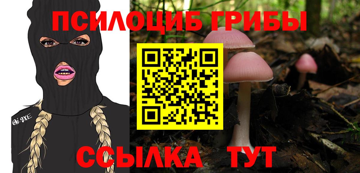 Псилоцибиновые грибы Cubensis  Вход с VPN  Псилоцибиновые грибы прущие грибы  Корсаков 