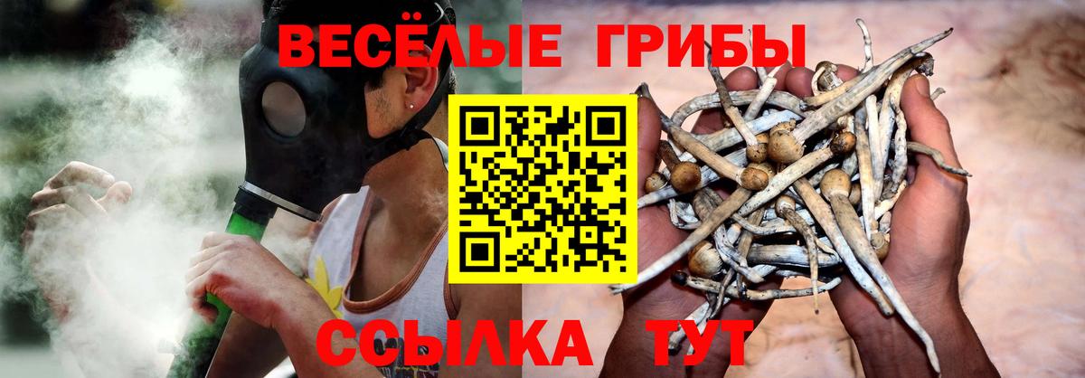 Псилоцибиновые грибы MAGIC MUSHROOMS Корсаков